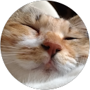 も も こ も も こ